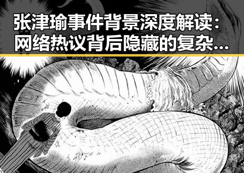 张津瑜事件背景深度解读:网络热议背后隐藏的复杂因素