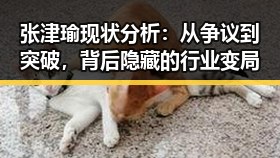 张津瑜现状分析:从争议到突破,背后隐藏的行业变局